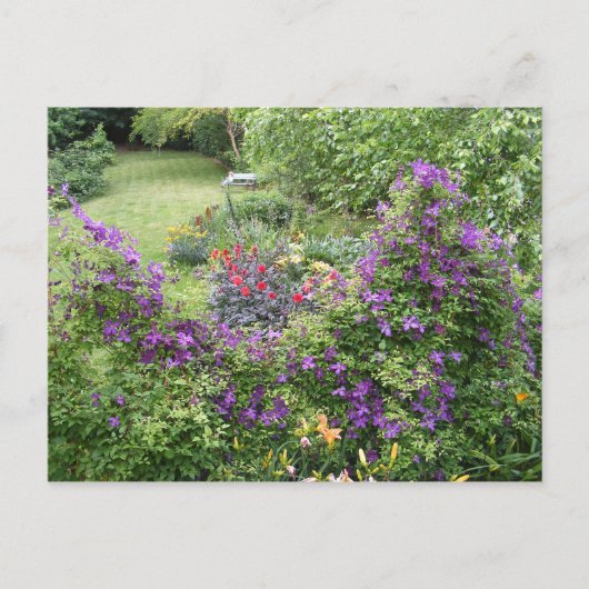 Living Fence ~ carte postale (Devant)