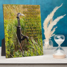 Living Water John 4 Inspirerend