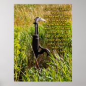 Living Water John 4 Inspirerend Poster (Voorkant)
