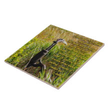 Living Water John 4 Inspirerend