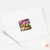 LIVINGSTONE DAISY VIERKANTE STICKER (Envelop)
