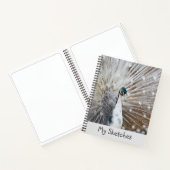 Livre blanc Peacock (Intérieur)