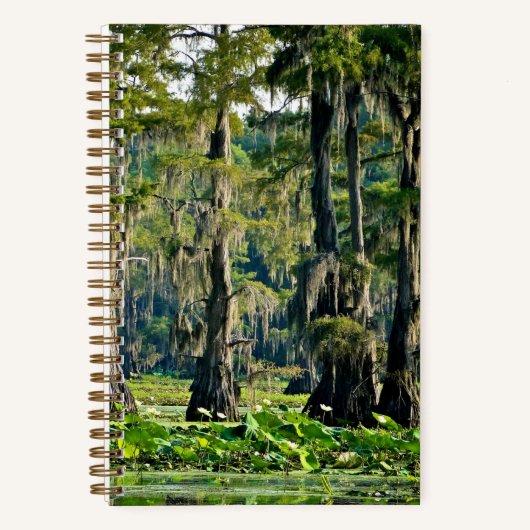 Livre croquis Cypress - 001 (Recto)