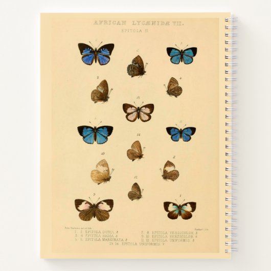 Livre de croquis africain à couverture rigide papi (Dos)