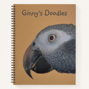 Livre de croquis de perroquets convivial