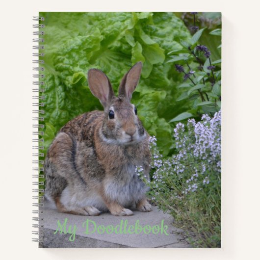 Livre de Doodle de lapin mignon (Devant)