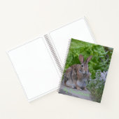 Livre de Doodle de lapin mignon (Intérieur)