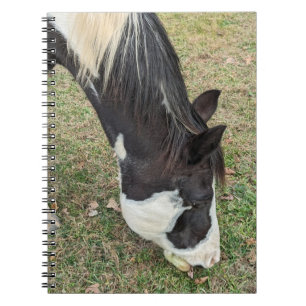 Livre de notes de cheval