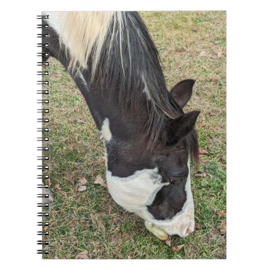 Livre de notes de cheval (Devant)