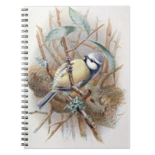 Livre de notes Eurasian Blue Bird