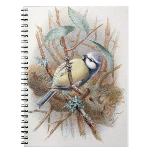 Livre de notes Eurasian Blue Bird (Devant)