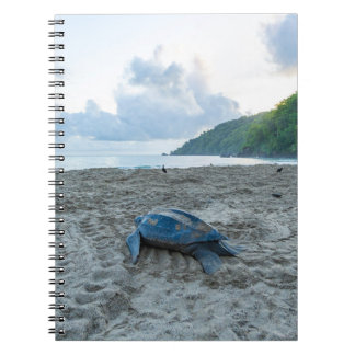 Livre de notes sur la tortue luth