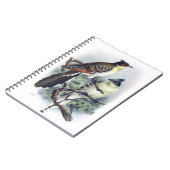 Livre de notes sur les oiseaux de Cucco tachetés (Côté gauche)