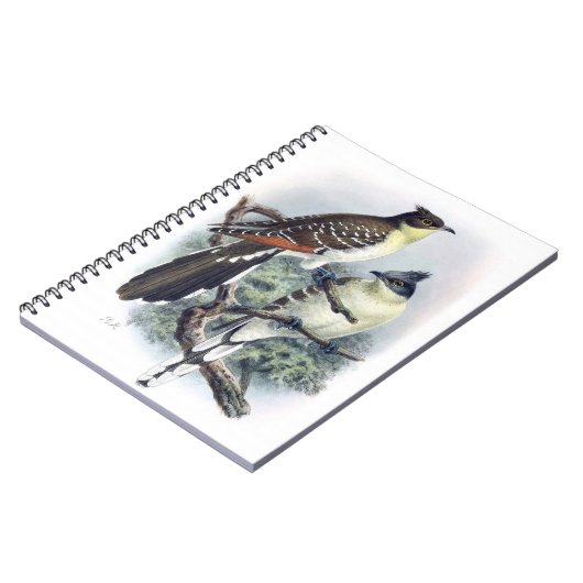 Livre de notes sur les oiseaux de Cucco tachetés (Côté gauche)