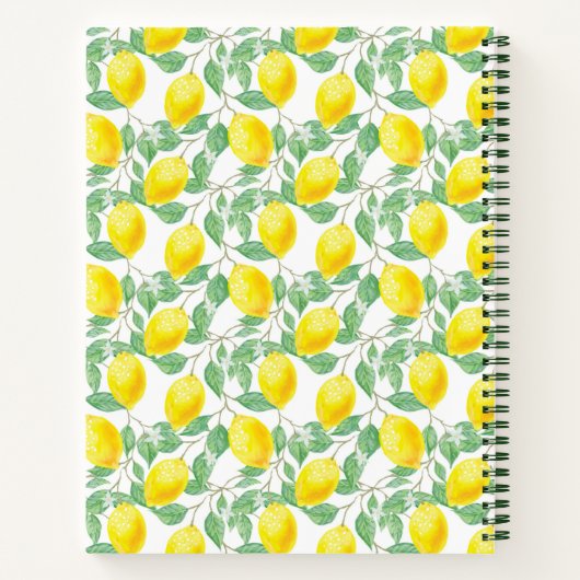 Livre de recettes citrons (Dos)