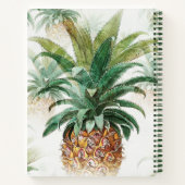 Livre de recettes d'ananas tropical (Dos)