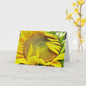 Livre de tournesol Carte de note Psaume 84:11 (Fleur jaune)