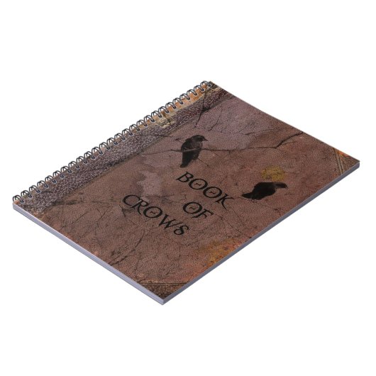 Livre Des Corneilles (Côté gauche)