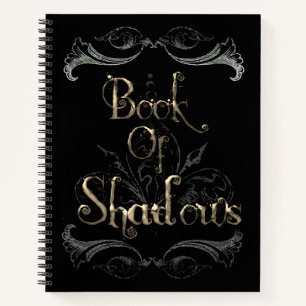 Livre des ombres