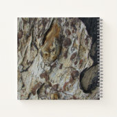 Livre d'hôtes Driftwood Grain Photo Rustic Woodgra (Dos)