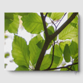 Livre d'hôtes Mariage Feuille vert (Verso)