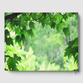 Livre d'invités de la fête d'anniversaire verte et (Verso)