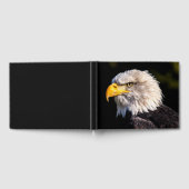 Livre D'or Aigle de Bald (Complet)