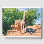 Livre D'or Animaux farcis (Verso)