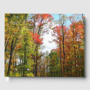 Livre D'or Arbres d'automne et ciel bleu Photographie de la n