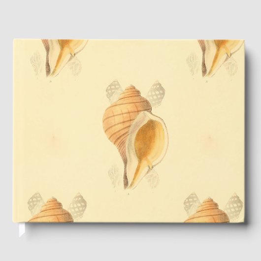 Livre D'or architecture de plage de shell (Recto)