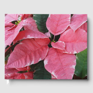 Livre D'or Argent Star Marbre Poinsettias Pink Holiday Floral