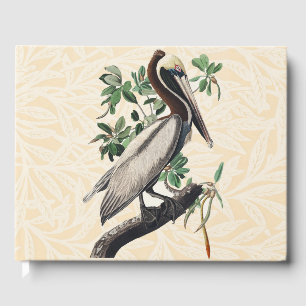 Livre D'or Art Vintage Audubon Pélican Brun Oiseau de Rivage