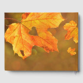 Livre D'or Automne | Funérailles d'automne en mémoire d'amour (Verso)