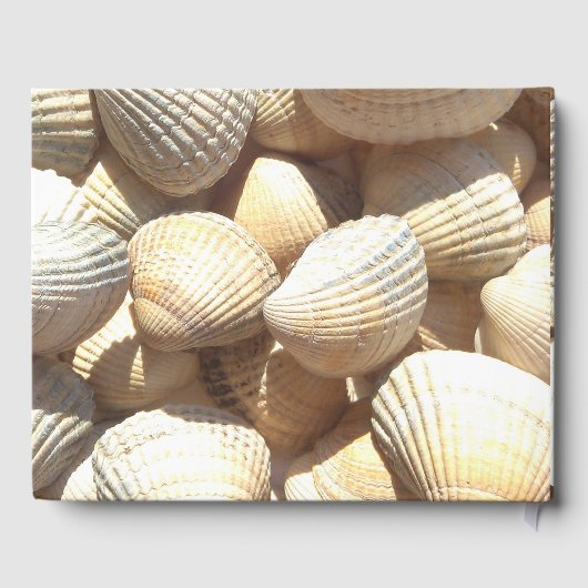 Livre D'or Beach Party Été 2017 Tropical Sea Shells (Verso)