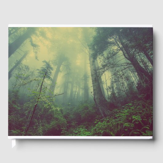 Livre D'or Bois Du Bas (Recto)