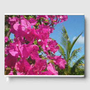 Livre D'or Bougainvilliers et palmiers paysage tropical