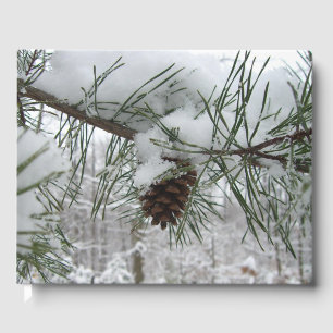 Livre D'or Branche des pins neigeux Photographie de la nature