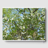 Livre D'or Branche of Dogwood Blossoms Spring Trees (Verso)