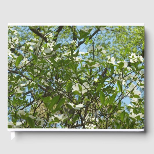 Livre D'or Branche of Dogwood Blossoms Spring Trees (Recto)