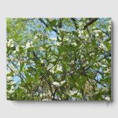 Livre D'or Branche of Dogwood Blossoms Spring Trees (Verso)