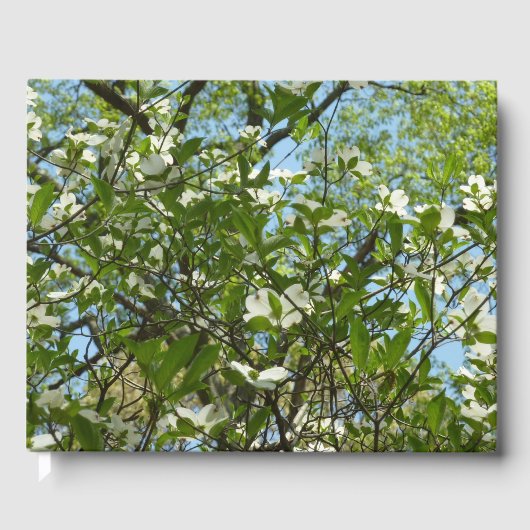 Livre D'or Branche of Dogwood Blossoms Spring Trees (Recto)