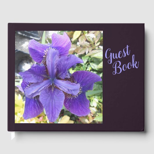 Livre D'or Brandeis (Recto)