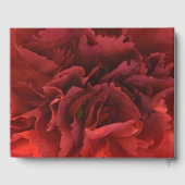 Livre D'or Célébration de la vie de la florale de l'oeillet r (Verso)