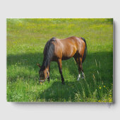 Livre D'or Cheval n° 1 (Verso)