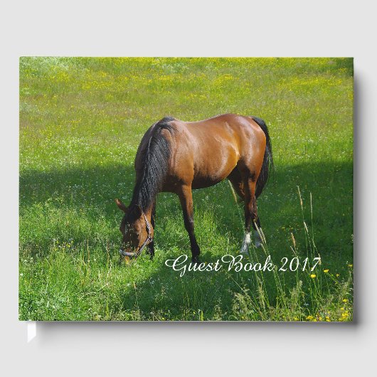 Livre D'or Cheval n° 1 (Recto)