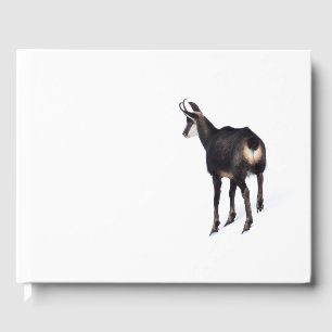 Livre D'or Chèvre montagneuse minimaliste chamois alpin sur n