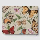 Livre D'or Collection de la papillon Moth Nature Dessin (Verso)