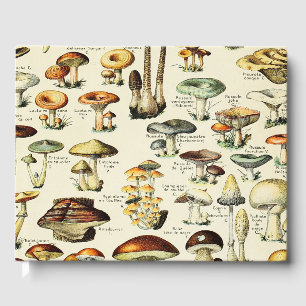 Livre D'or Cottagecore Champignons Naturaliste Vintage