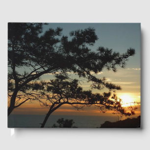 Livre D'or Coucher de soleil sur le pin de Torrey I Paysage c