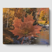 Livre D'or Creekside woods maple leaf automne souvenir mariag (Verso)